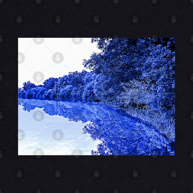 Blue Mirroring by danieljanda